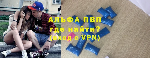 спайс Вяземский