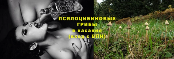 спайс Вяземский